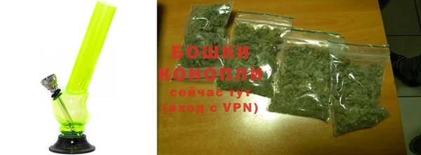 твердый Протвино