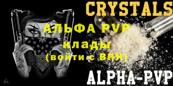 стаф Арсеньев