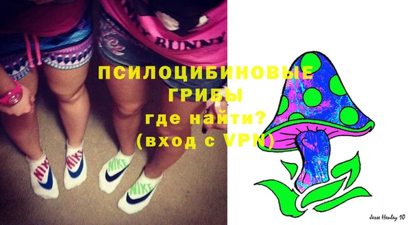 мескалин Балахна