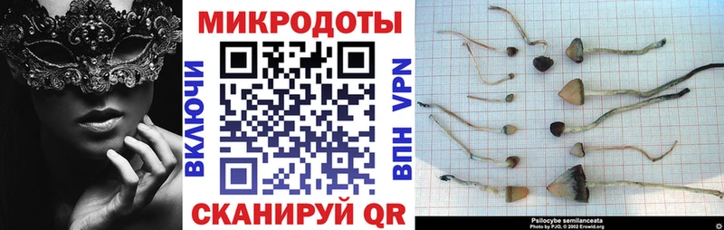 Галлюциногенные грибы Cubensis  Саров 